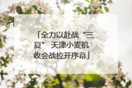 全力以赴战“三夏” 天津小麦机收会战拉开序幕