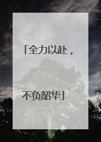全力以赴，不负韶华