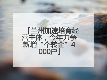 兰州加速培育经营主体，今年力争新增“个转企”4000户