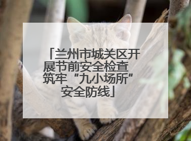 兰州市城关区开展节前安全检查 筑牢“九小场所”安全防线