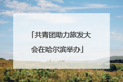 共青团助力旅发大会在哈尔滨举办