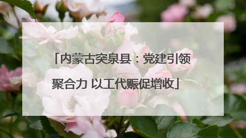 内蒙古突泉县：党建引领聚合力 以工代赈促增收