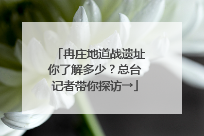 冉庄地道战遗址你了解多少？总台记者带你探访→