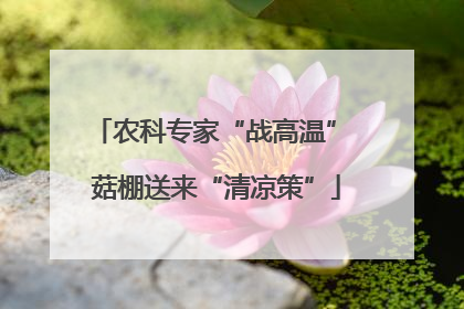 农科专家“战高温” 菇棚送来“清凉策”