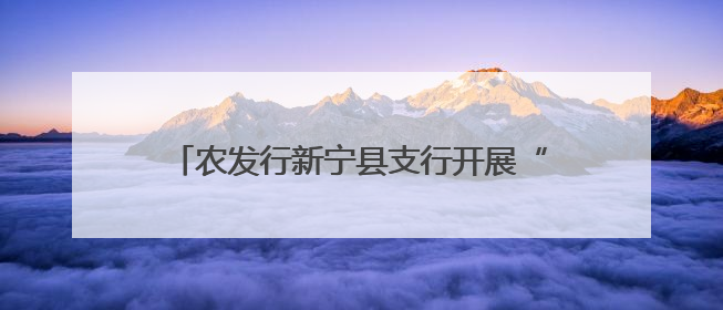 农发行新宁县支行开展“民法典进企业”普法宣传