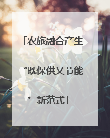 农旅融合产生“既保供又节能”新范式