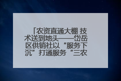 农资直通大棚 技术送到地头——岱岳区供销社以“服务下沉”打通服务“三农”最后一公里