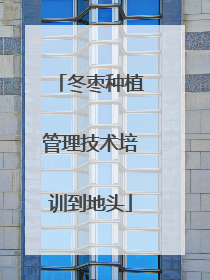 冬枣种植管理技术培训到地头