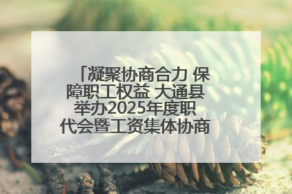 凝聚协商合力 保障职工权益 大通县举办2025年度职代会暨工资集体协商现场观摩交流活动