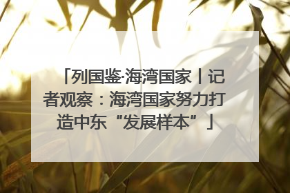 列国鉴·海湾国家丨记者观察：海湾国家努力打造中东“发展样本”