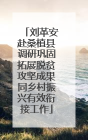 刘革安赴桑植县调研巩固拓展脱贫攻坚成果同乡村振兴有效衔接工作