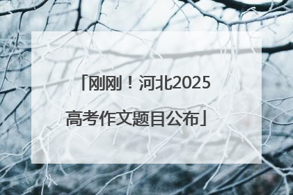 刚刚！河北2025高考作文题目公布