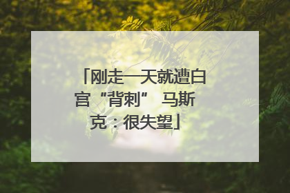刚走一天就遭白宫“背刺” 马斯克：很失望