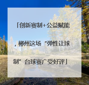 创新赛制+公益赋能，郴州这场“弹性让球制”台球赛广受好评