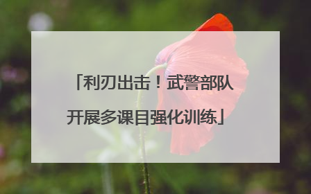 利刃出击！武警部队开展多课目强化训练