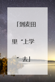 到麦田里“上学”去