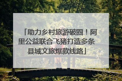 助力乡村旅游破圈！阿里公益联合飞猪打造多条县域文旅爆款线路