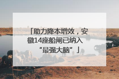 助力降本增效，安徽14座船闸已纳入“最强大脑”