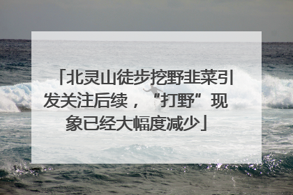 北灵山徒步挖野韭菜引发关注后续，“打野”现象已经大幅度减少