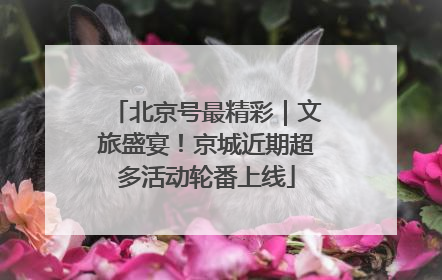 北京号最精彩｜文旅盛宴！京城近期超多活动轮番上线