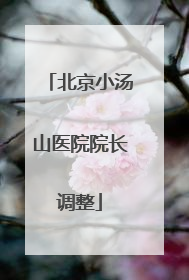 北京小汤山医院院长调整