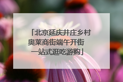 北京延庆井庄乡村奥莱商街端午开街 一站式逛吃游购