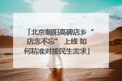北京朝阳高碑店乡“店念不忘” 上线 如何精准对接民生需求