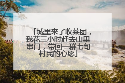 城里来了收菜团，我花三小时赶去山里串门，带回一群七旬村民的心愿