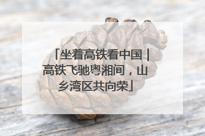 坐着高铁看中国｜高铁飞驰粤湘间，山乡湾区共向荣