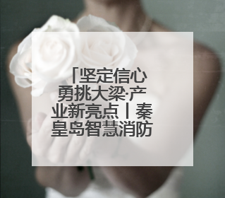 坚定信心 勇挑大梁·产业新亮点丨秦皇岛智慧消防产品占全国市场超四成