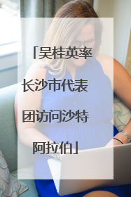 吴桂英率长沙市代表团访问沙特阿拉伯
