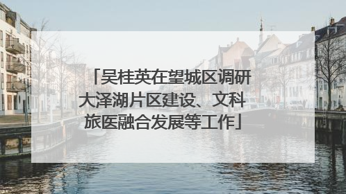 吴桂英在望城区调研大泽湖片区建设、文科旅医融合发展等工作