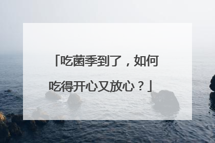 吃菌季到了，如何吃得开心又放心？