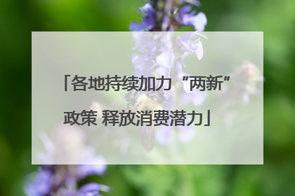 各地持续加力“两新”政策 释放消费潜力