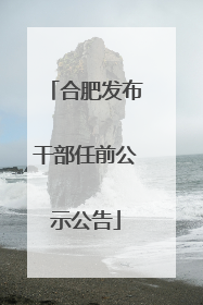 合肥发布干部任前公示公告