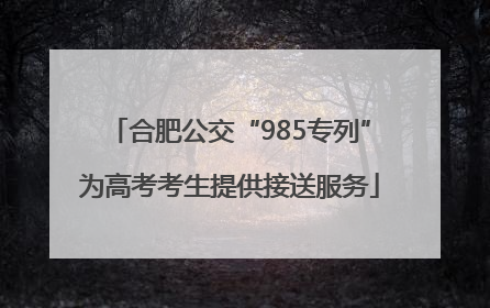 合肥公交“985专列”为高考考生提供接送服务