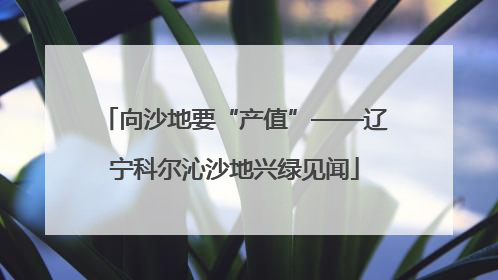 向沙地要“产值”——辽宁科尔沁沙地兴绿见闻