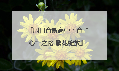 周口育新高中：育“心”之路 繁花绽放