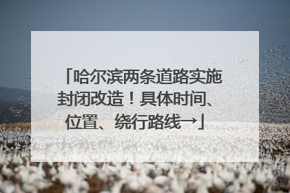 哈尔滨两条道路实施封闭改造！具体时间、位置、绕行路线→