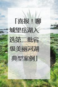 喜报！聊城望岳湖入选第二批省级美丽河湖典型案例