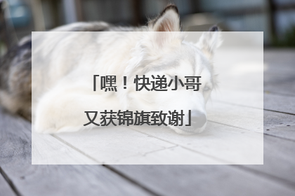 嘿！快递小哥又获锦旗致谢