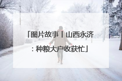图片故事丨山西永济：种粮大户收获忙