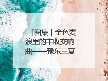 图集｜金色麦浪里的丰收交响曲——豫东三夏抢收纪实