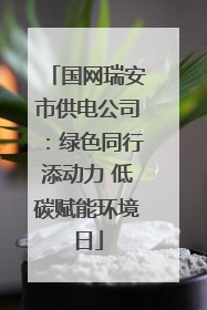 国网瑞安市供电公司：绿色同行添动力 低碳赋能环境日