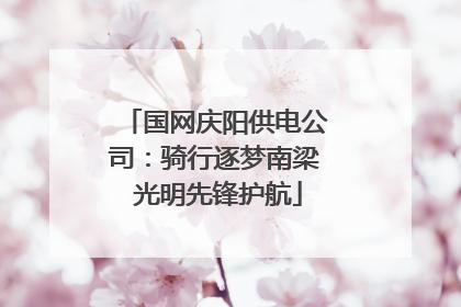 国网庆阳供电公司：骑行逐梦南梁 光明先锋护航