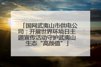 国网武夷山市供电公司：开展世界环境日主题宣传活动守护武夷山生态“高颜值”