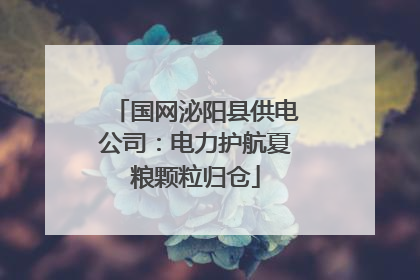 国网泌阳县供电公司：电力护航夏粮颗粒归仓