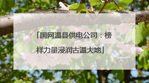 国网温县供电公司：榜样力量浸润古温大地