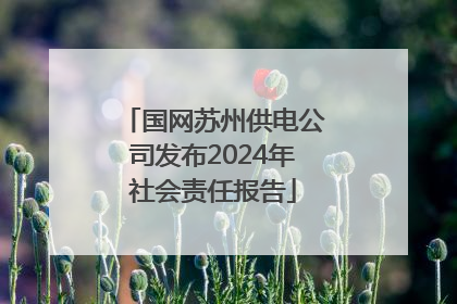 国网苏州供电公司发布2024年社会责任报告