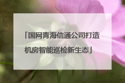 国网青海信通公司打造机房智能巡检新生态